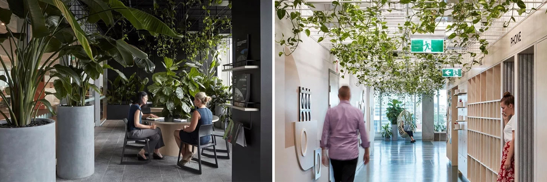 廣州裝修設(shè)計公司